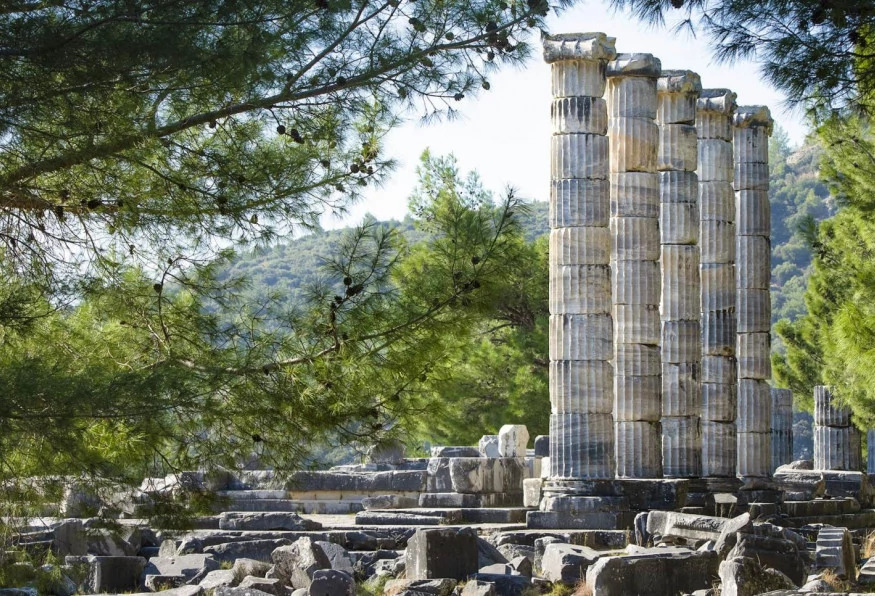 Daily Priene – Miletus - Dydima Tour From Aydin