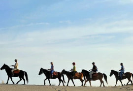 Daily Horse Riding Tour On Patara Beach