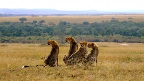 Epic Kenya Active Adventure Safari Booking 12 Day